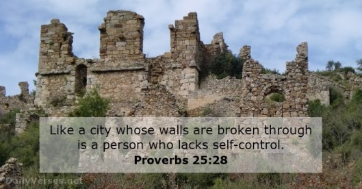 proverbs-25-28